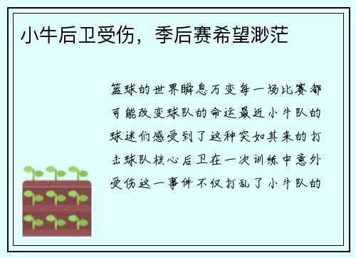 小牛后卫受伤，季后赛希望渺茫